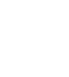 Report Image