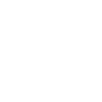 Report Image