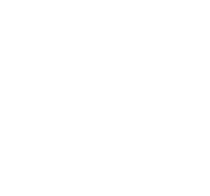 Report Image